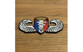 Patch - Brevet Poitrine - France