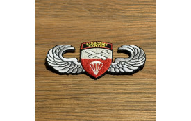 Patch - Brevet Poitrine - Pologne